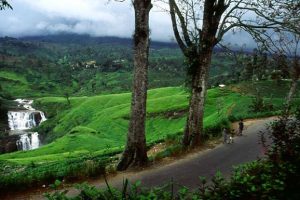 Bandarawela